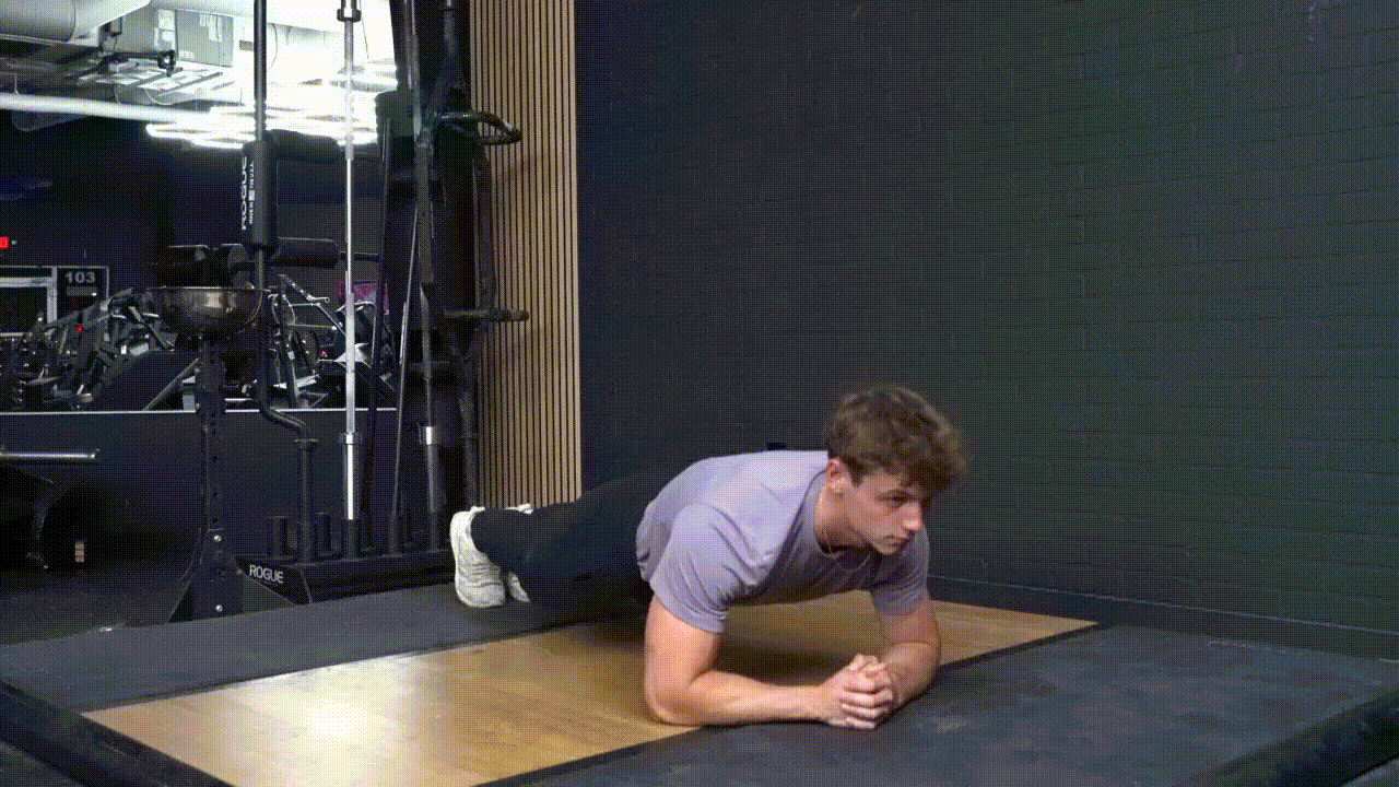 Animated demonstration of the Plank